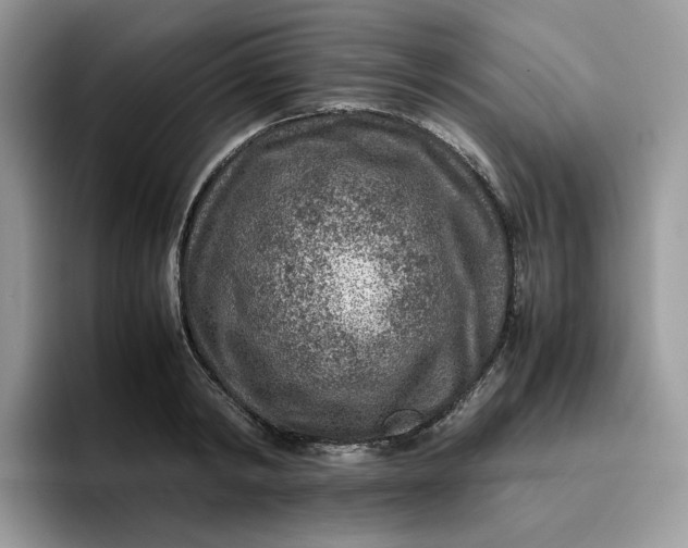 X0000095940798200801251109