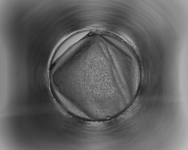 X0000095940800200801251109