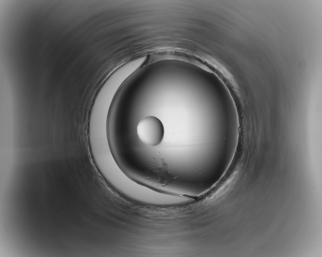 X0000095940801200801251109