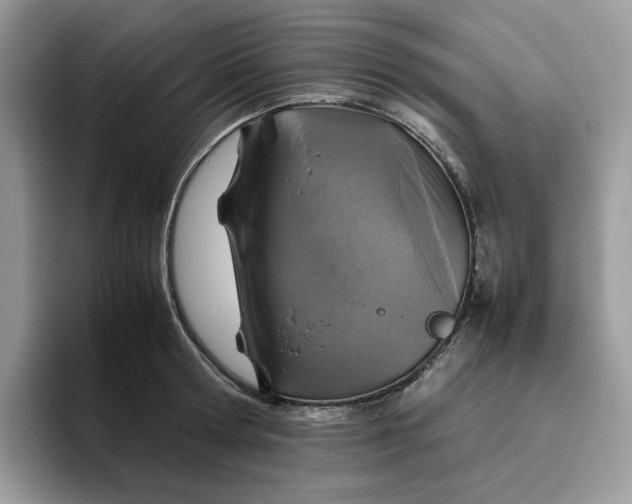 X0000095940802200801251109