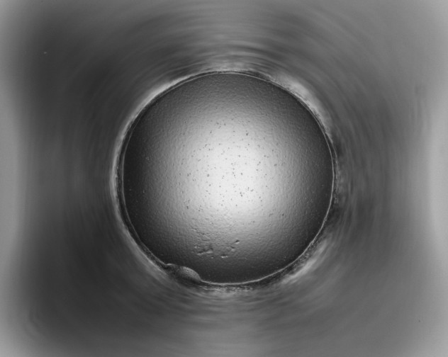 X0000095940803200801251109