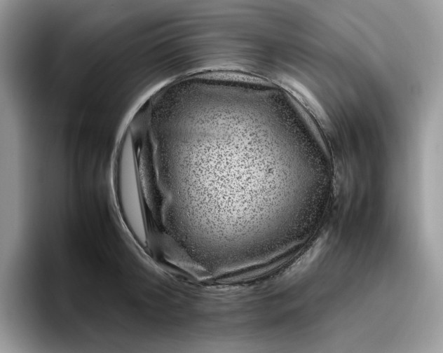 X0000095940804200801251109