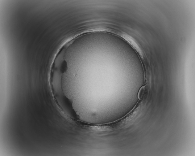 X0000095940805200801251109