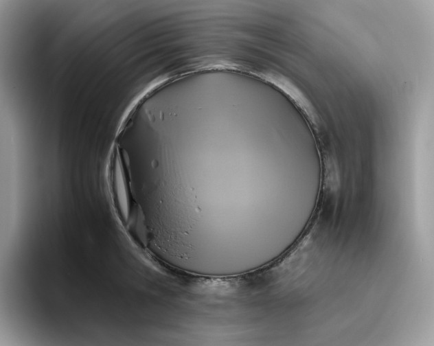 X0000095940806200801251109