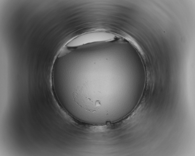 X0000095940810200801251109