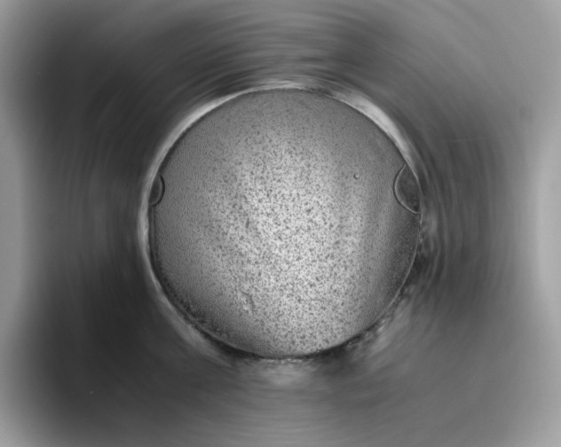 X0000095940811200801251109