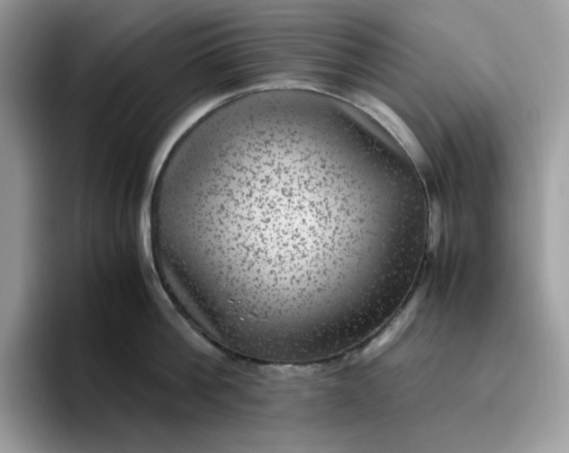 X0000095940812200801251109