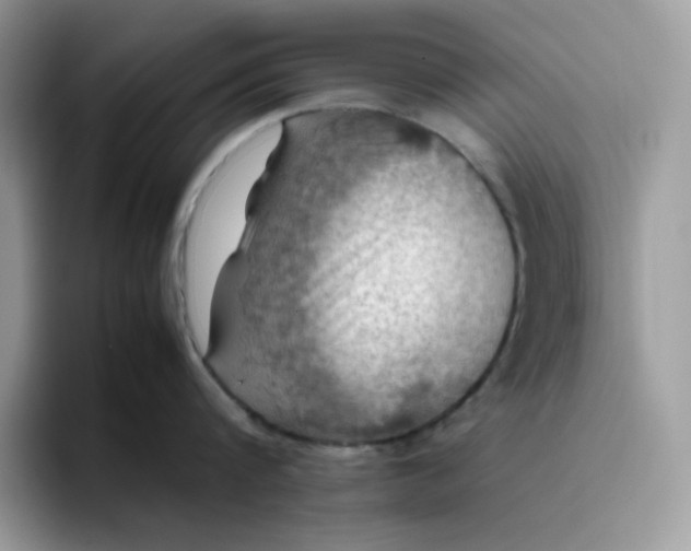 X0000095940816200801251109