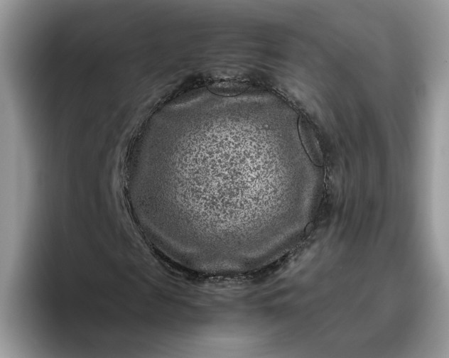 X0000095940817200801251108