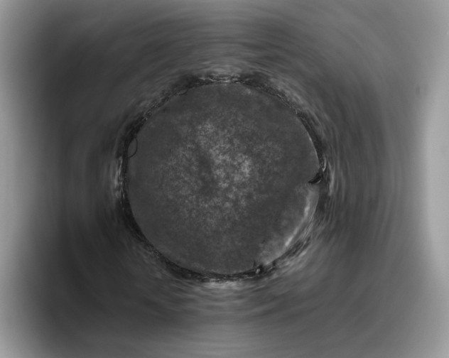 X0000095940818200801251108