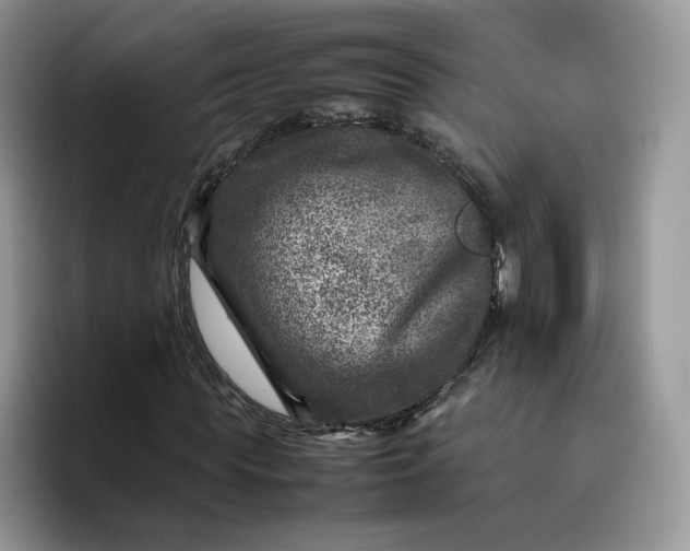 X0000095940819200801251108