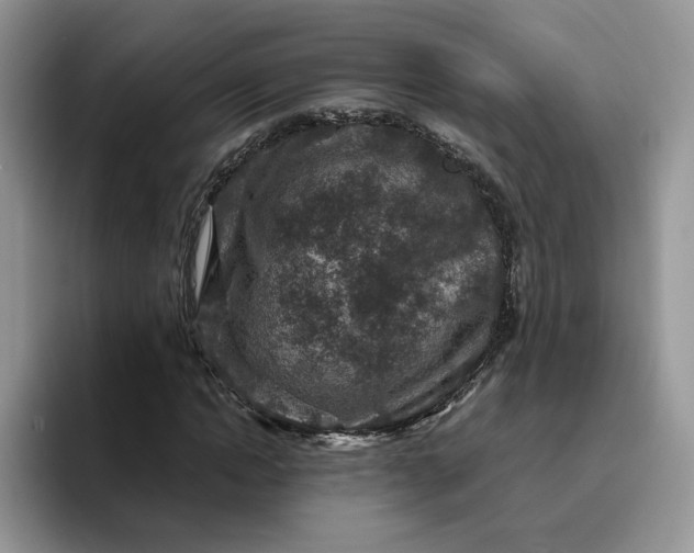 X0000095940822200801251108