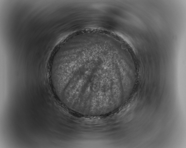 X0000095940823200801251108