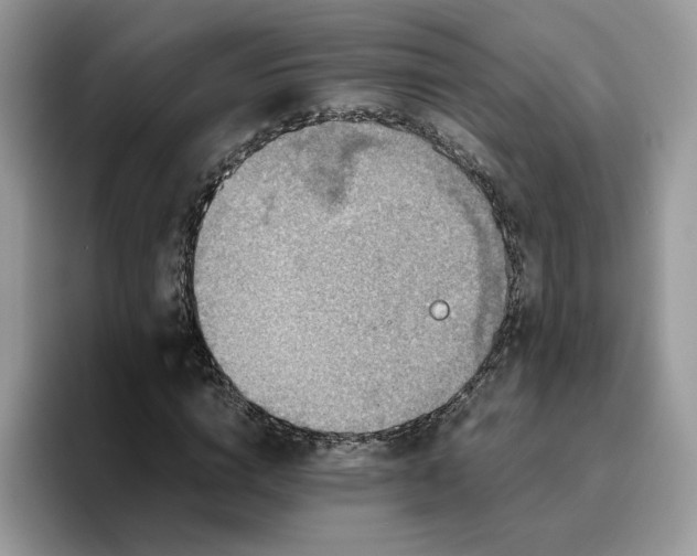 X0000095940824200801251108