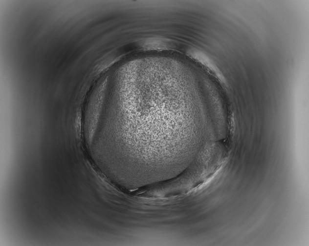 X0000095940825200801251108