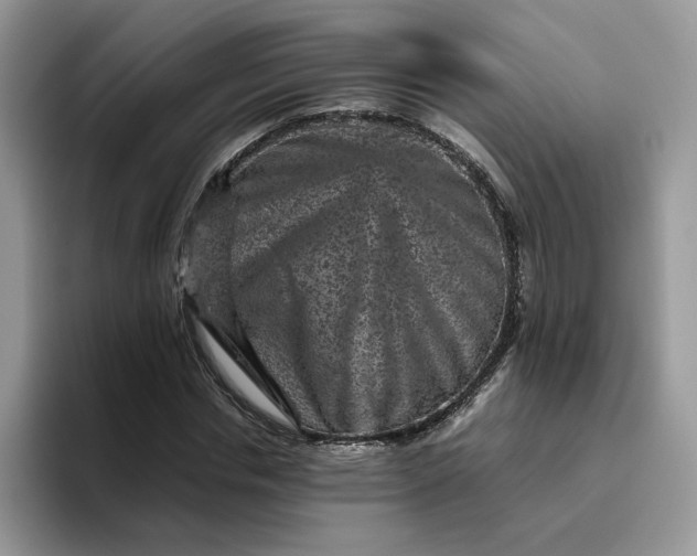 X0000095940826200801251108