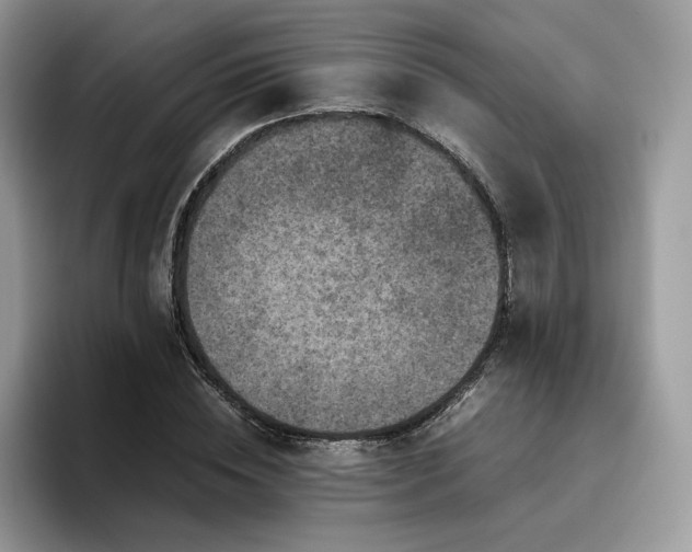 X0000095940828200801251108