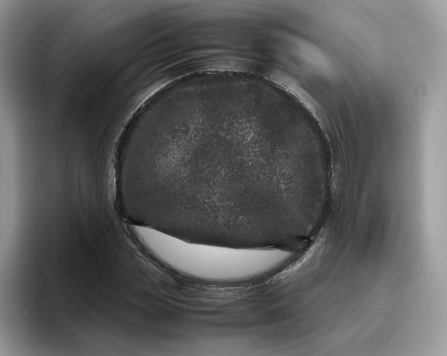 X0000095940829200801251108