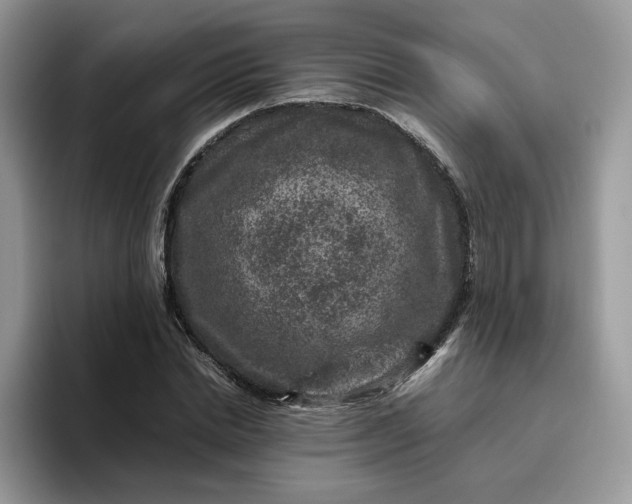 X0000095940830200801251108