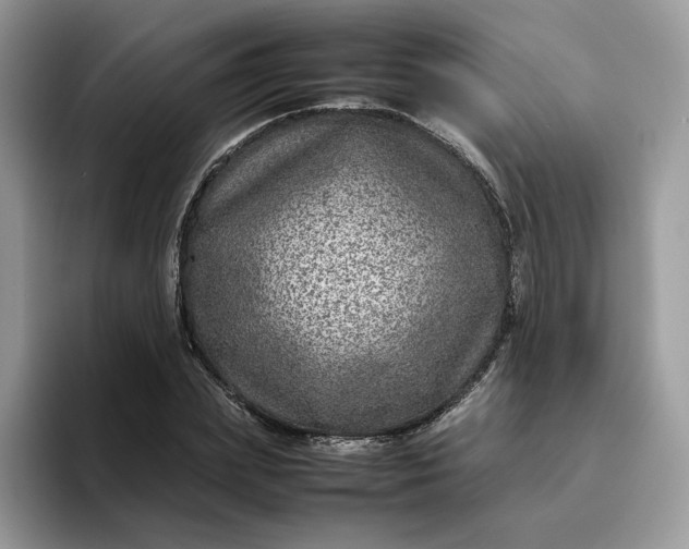 X0000095940831200801251108