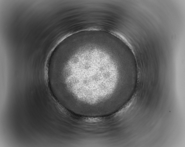 X0000095940835200801251108