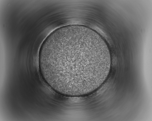 X0000095940836200801251108