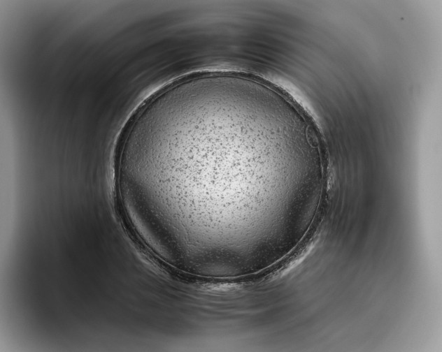 X0000095940837200801251108
