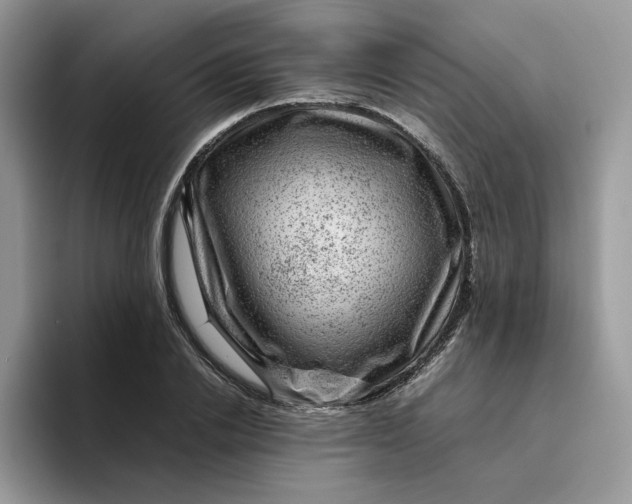X0000095940838200801251108