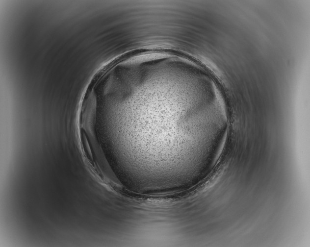X0000095940840200801251108