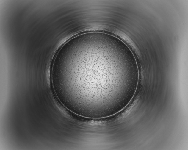 X0000095940842200801251108