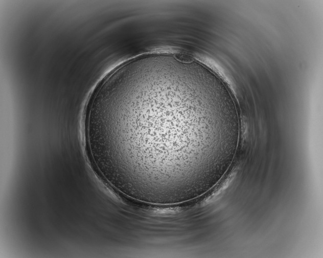 X0000095940843200801251108