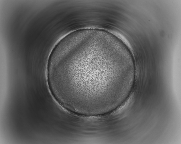 X0000095940847200801251108