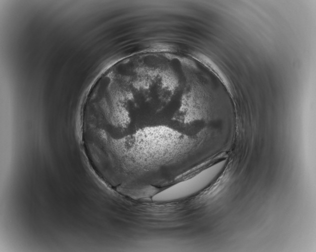 X0000095940851200801251108