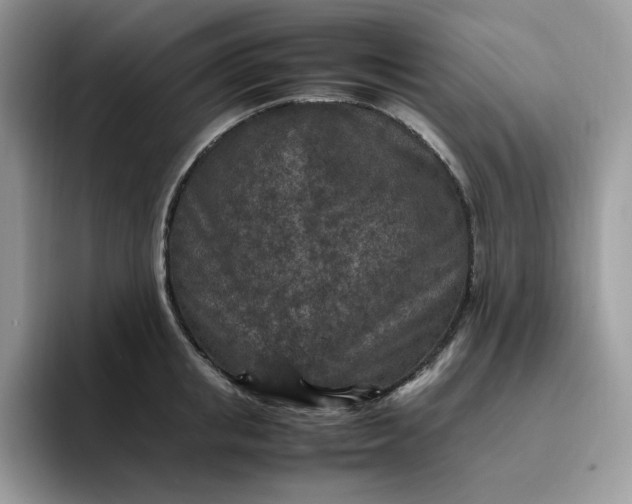 X0000095940853200801251108