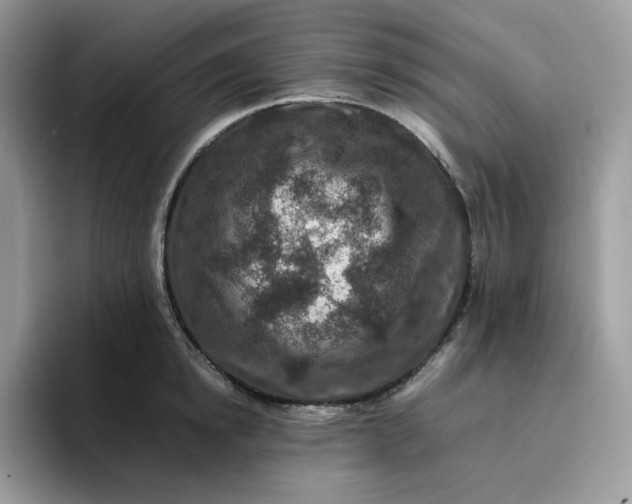 X0000095940854200801251108