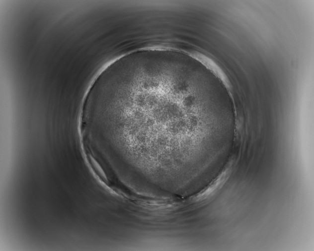 X0000095940855200801251108