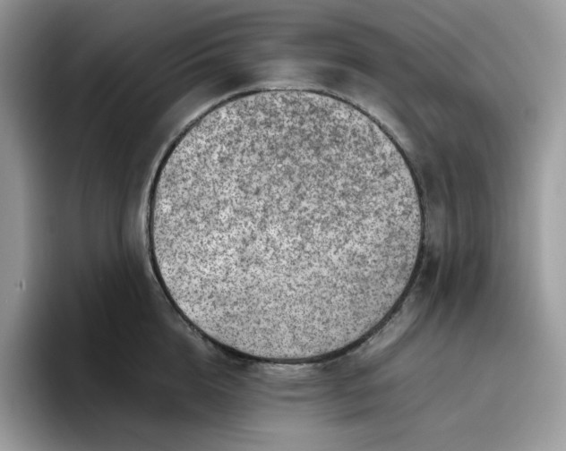 X0000095940856200801251108