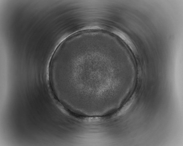 X0000095940858200801251108