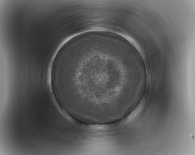X0000095940862200801251108