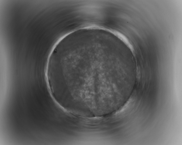 X0000095940863200801251108
