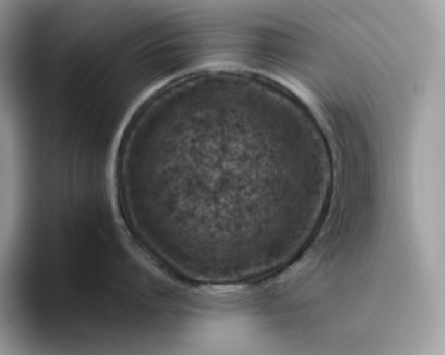 X0000095940864200801251108