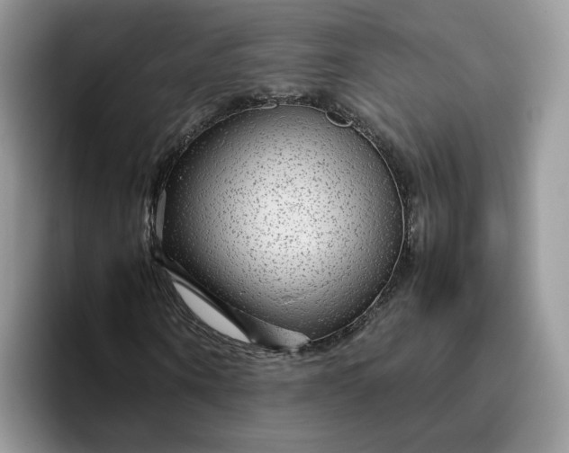 X0000095940866200801251108