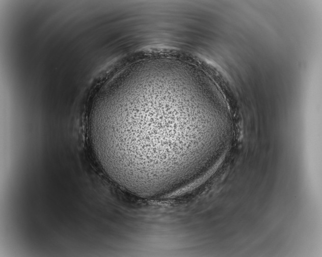 X0000095940870200801251108