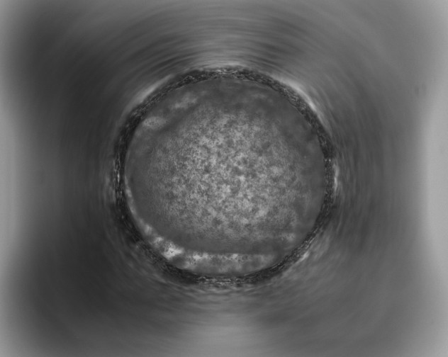 X0000095940871200801251108