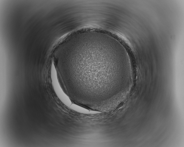 X0000095940872200801251108