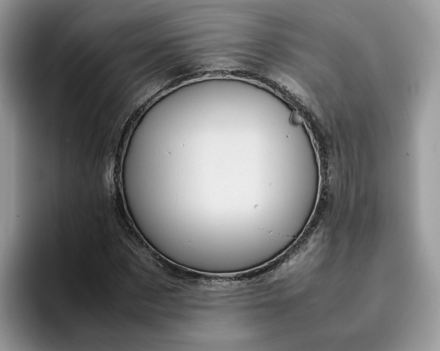 X0000095940873200801251108