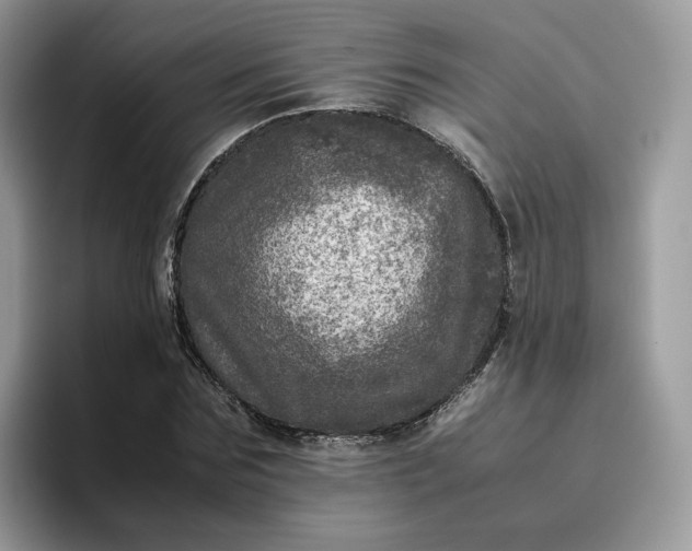 X0000095940875200801251108