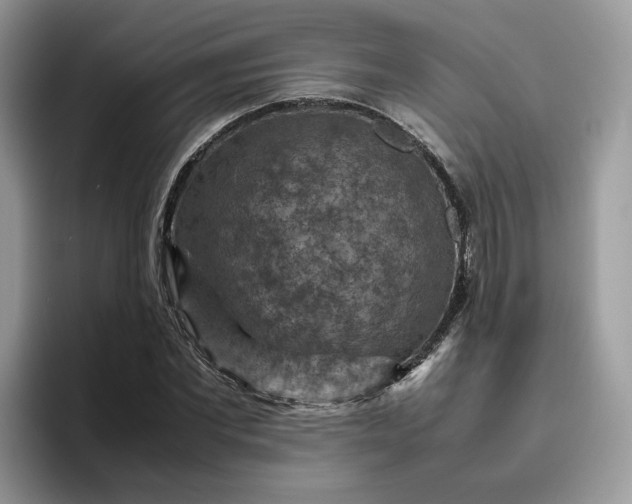 X0000095940877200801251108