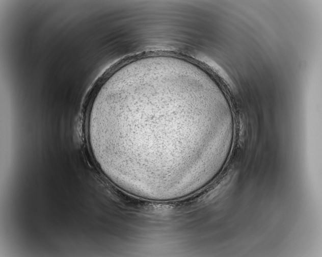 X0000095940878200801251108