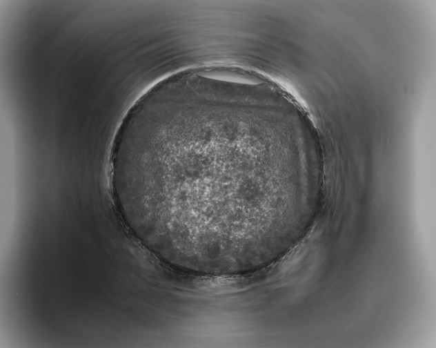 X0000095940879200801251108